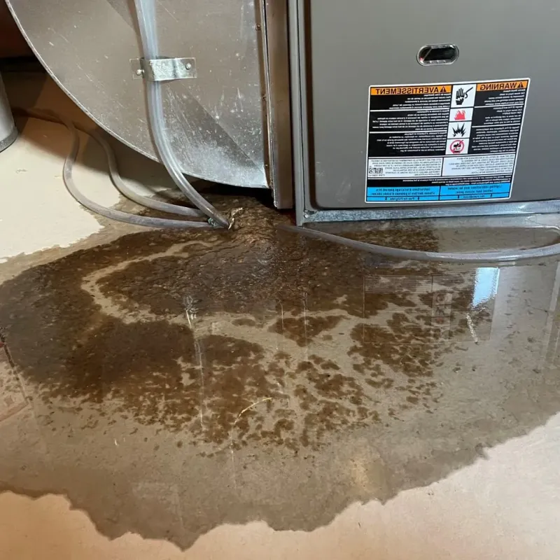Pipe Burst and Leak Restoration in Indian Mountain Lake, PA